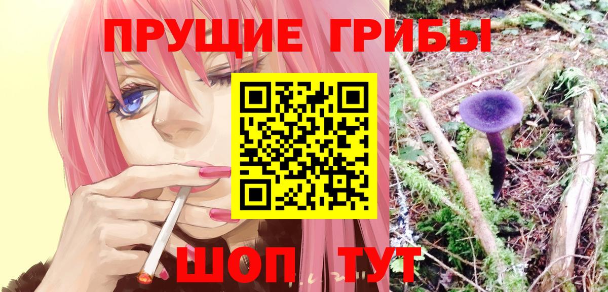 Мыски  Галлюциногенные грибы мухоморы  Вход с VPN 